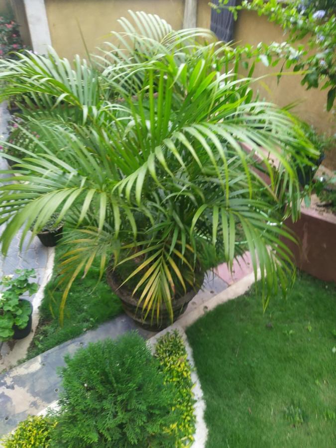 Rio Homestay 哈普特莱 外观 照片