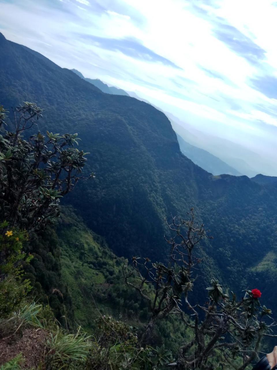 Rio Homestay 哈普特莱 外观 照片