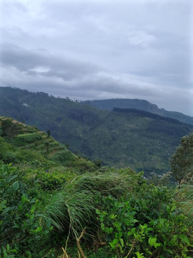 Rio Homestay 哈普特莱 外观 照片