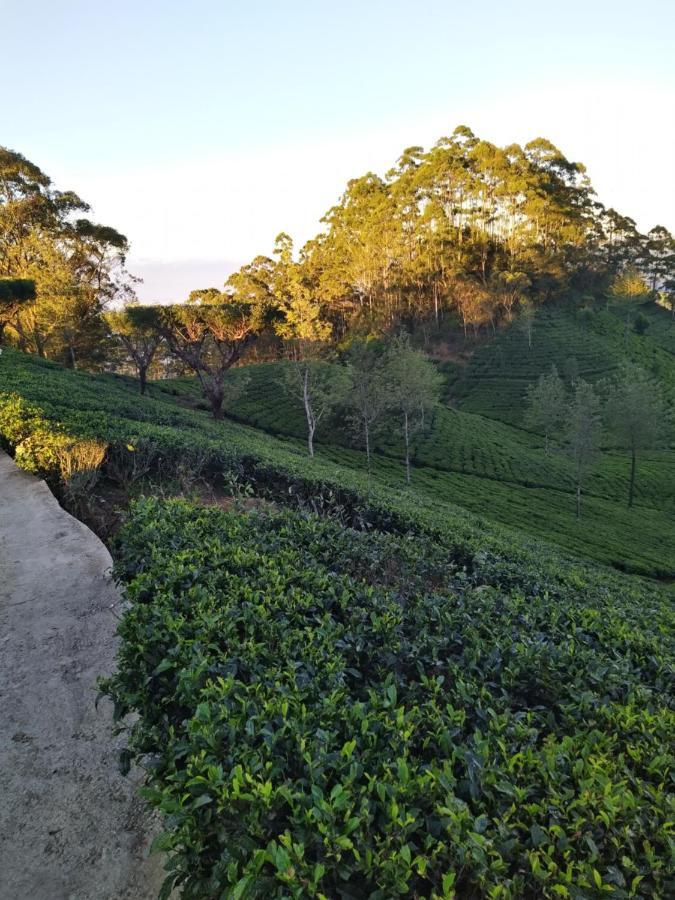 Rio Homestay 哈普特莱 外观 照片